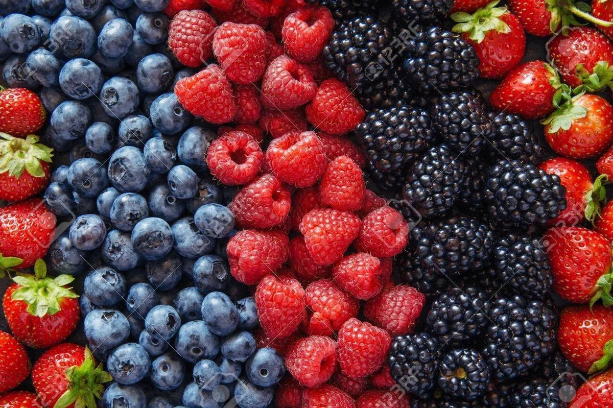 Berry Seed Set - Strawberry, Blueberry, Blackberry, Raspberry Seeds for Home Gardening, Fruit Plants, Gift Package