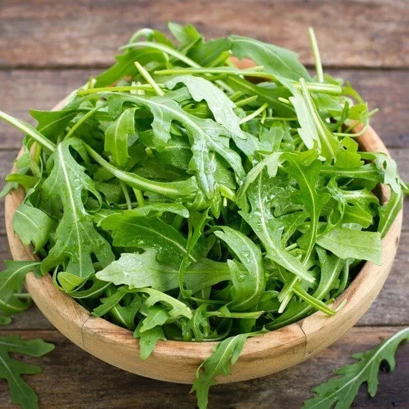 Organic Arugula Seeds 1200 Count Non-GMO Heirloom Eruca sativa for Home Gardening