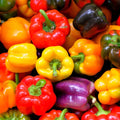 Rainbow Mix Bell Pepper Seeds - Heirloom Capsicum annuum, Red, Green, Orange, for Home Garden & Container Planting