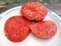 German Johnson Tomato Seeds - Organic Heirloom, Non-GMO, 30+ Seeds, Solanum lycopersicum, Large Juicy Tomatoes for Gardening