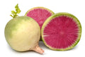 Watermelon Radish Seeds Non-GMO Heirloom Raphanus sativus for Backyard Gardening, Easy to Grow, Crunchy, Colorful, Salad Garnish