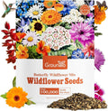 Bulk Perennial Wildflower Seeds 1/4 Lb - 26 Variety Mix with 100,000+ Seeds for Garden Planting