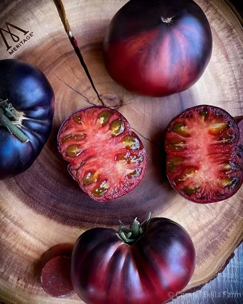 Black Beauty Tomato Seeds - Organic Heirloom Variety - Non-GMO, Juicy, Dark Tomatoes, Solanum lycopersicum, 10+ Seeds