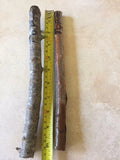 Hog Plum Cuttings - 5 Fresh Jamaican Red Coat Plum Spondias mombin Propagation Material