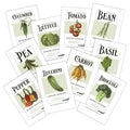 Vegetable Garden Seeds Collection 10 Pack, Non-GMO Organic Seeds for Home Gardening, Edible Varieties, Easy-to-Grow