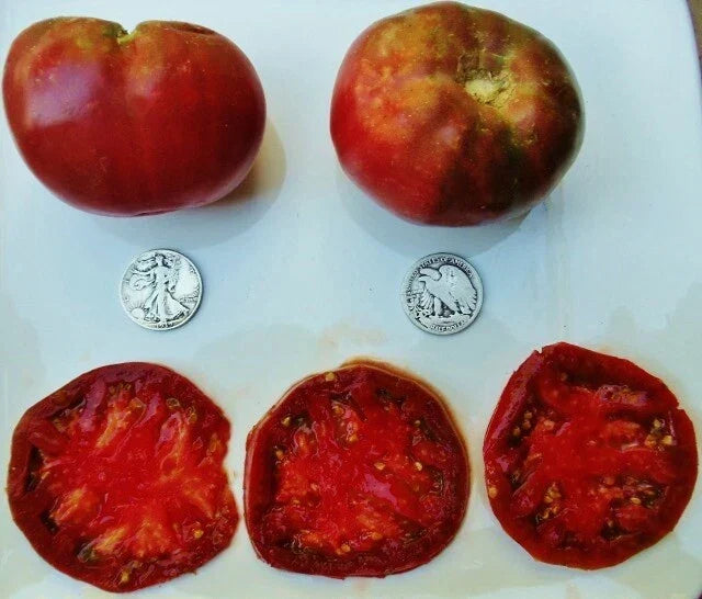 Cherokee Purple Tomato Seeds - Heirloom Solanum lycopersicum - Purple, Juicy, Large Fruit, Vegetable Seed Packet