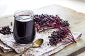 Fresh Elderberry Cuttings - Black-Bearing Variety - Grow 5 Sambucus nigra Bushes for Berries & Landscaping