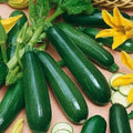 Black Beauty Zucchini Seeds - Heirloom Organic Non-GMO Cucurbita pepo, Bountiful Harvest, Compact Bush Plant, 25+ Seeds
