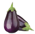 Black Beauty Eggplant Seeds - Non-GMO, Open Pollinated, Heirloom, Solanum melongena, Pack of 200+ Seeds