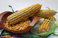 Reid's Yellow Dent Corn Seeds - Heirloom Zea Mays, 30 Pack, Non-GMO, USA Grown, For Home Gardens & Farming