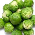 Brussel Sprouts Seeds - 300+ Catskill Variety Brassica oleracea Non-GMO Heirloom Vegetable Seeds for Home Garden