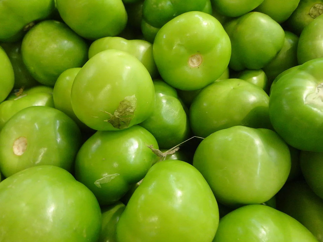 Tomatillo Seeds 100 Pack Heirloom Non-GMO Verde Physalis ixocarpa Vegetable for Salsa Gardening