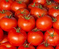 Ace 55 Tomato Seeds 100 Count - Heirloom Non-GMO Vegetable Seeds - Solanum lycopersicum