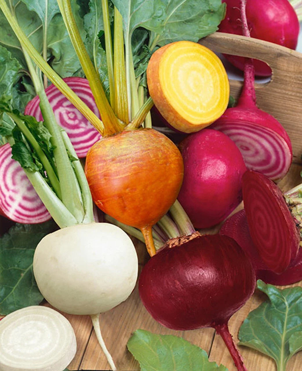 Rainbow Blend Beet Seeds - Heirloom Non-GMO Garden Seeds - Multiple Colors - Beta vulgaris