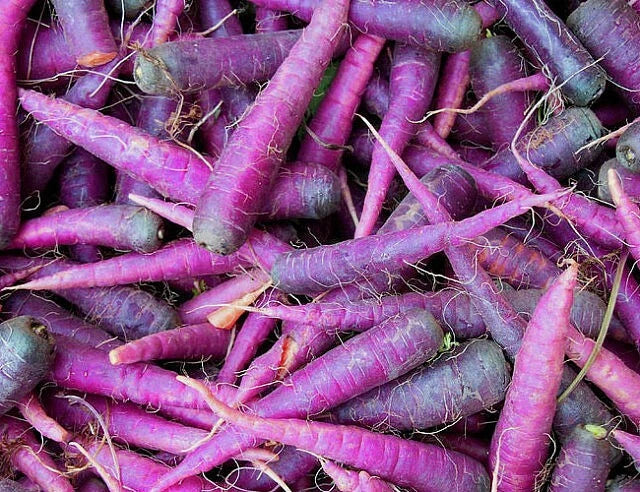 Cosmic Purple Carrot Seeds – Non-GMO Vegetable Seeds for Home Garden, 300+ Daucus carota, Purple Root, Easy to Grow