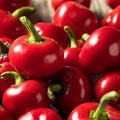 Red Cherry Hot Pepper Seeds - Capsicum annuum, 25+ Non-GMO Seeds for Spicy Garden, Perfect for Salsa & Culinary Use