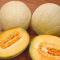 Organic Jambo Cantaloupe Seeds - 100 Non-GMO Cucumis melo for Home Gardens, Juicy Orange Flesh, Vining, USA Grown