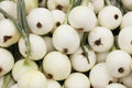 Onion Seeds, White Spanish Non-GMO Allium cepa, Sweet Mild Vegetable Garden Seeds, 200+ Packets