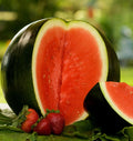 Sugar Baby Watermelon Seeds | Mini Icebox Melon Seeds | Citrullus lanatus | Small Personal Watermelon for Gardens & Containers