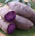 Purple Sweet Potato Slips - 10 Cuttings, Ipomoea batatas, Edible Garden, Vining, Non-GMO