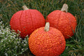 Red Warty Thing Pumpkin Seeds - Heirloom Cucurbita pepo, Bumpy Orange Warty Pumpkin for Planting, Halloween & Autumn Decorations