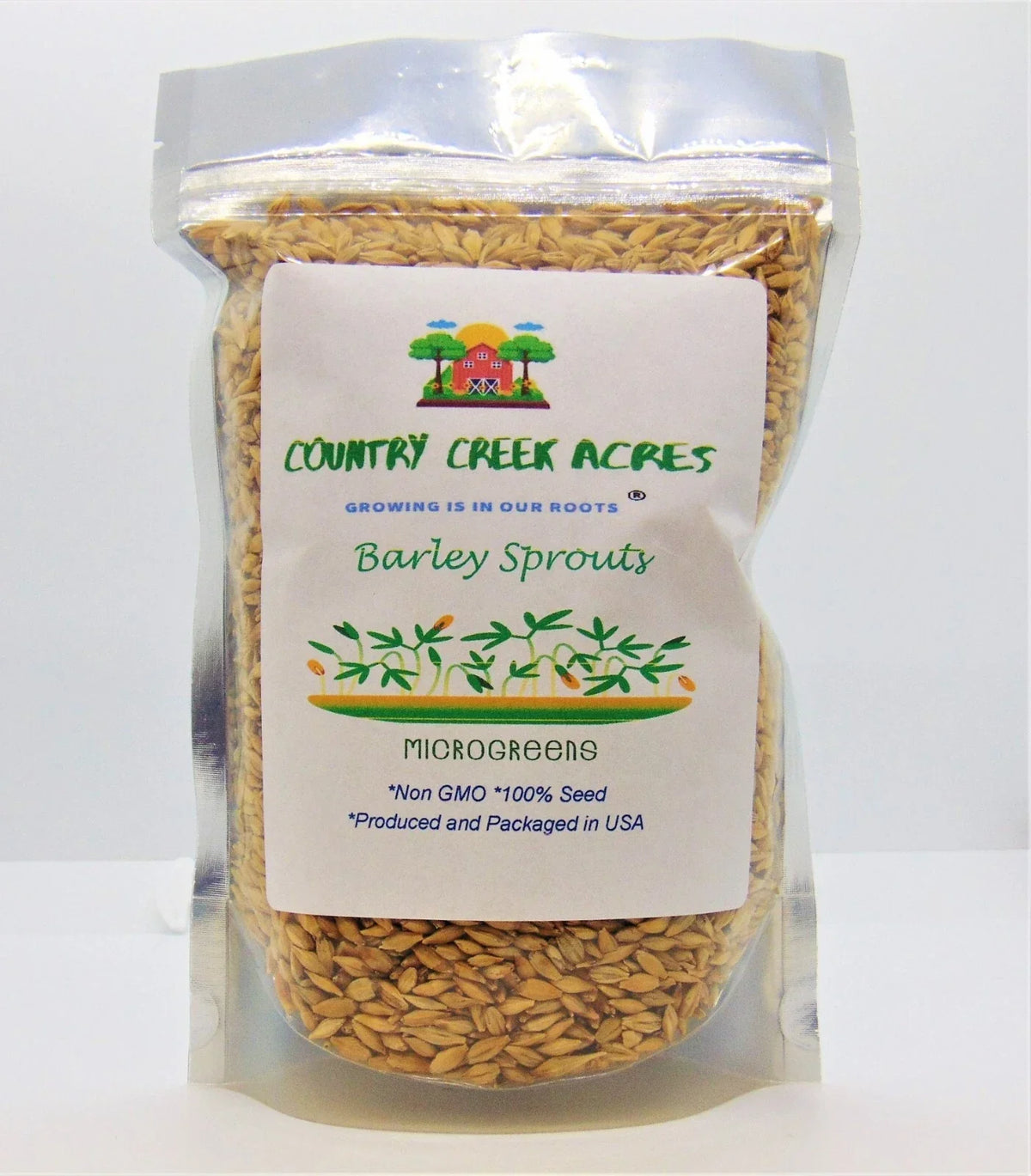 8 oz Non-GMO Barley Microgreen Seeds for Sprouting, Hordeum vulgare, Nutrient-Packed Microgreens for Home Grown Sprouts
