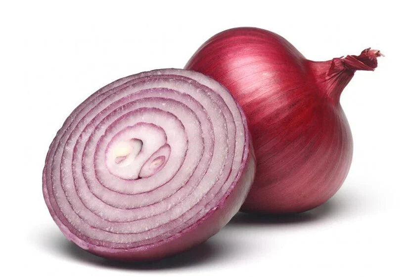 Red Burgundy Onion Seeds - 200+ Allium cepa Heirloom Vegetable Seeds for Home Garden, Non-GMO, USA Grown