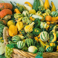 Small Ornamental Gourd Seeds Mix - Heirloom, Non-GMO, Cucurbita pepo, 30+ Seeds for Gardening & Fall Decor
