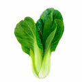 Bok Choy Seeds - 500+ Brassica rapa Chinese Cabbage for Garden Planting, Vegetable, Leafy Greens