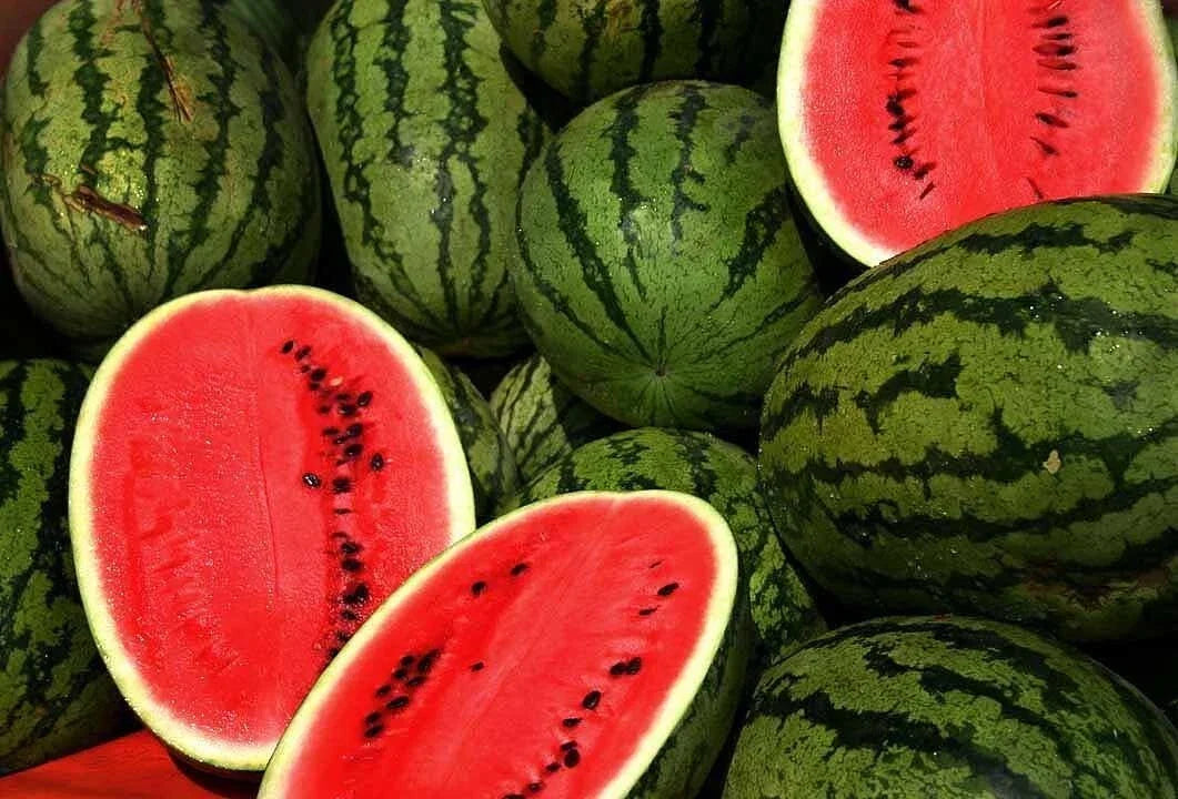 Kleckley's Sweet Watermelon Seeds - Heirloom, Large & Super Sweet Citrullus lanatus, 50+ Premium Seeds for Home Garden, Summer Harvest
