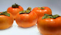 Fuyu Persimmon Tree Sapling 1-2ft Bare Root Diospyros Kaki Hardy Fruit Tree Zones 7-10