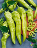 Hungarian Wax Hot Pepper Seeds - 25+ Pack, Capsicum annuum, Spicy Culinary Peppers for Garden & Container Growing