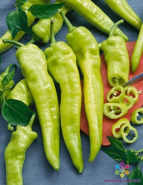 Hungarian Wax Hot Pepper Seeds - 25+ Pack, Capsicum annuum, Spicy Culinary Peppers for Garden & Container Growing