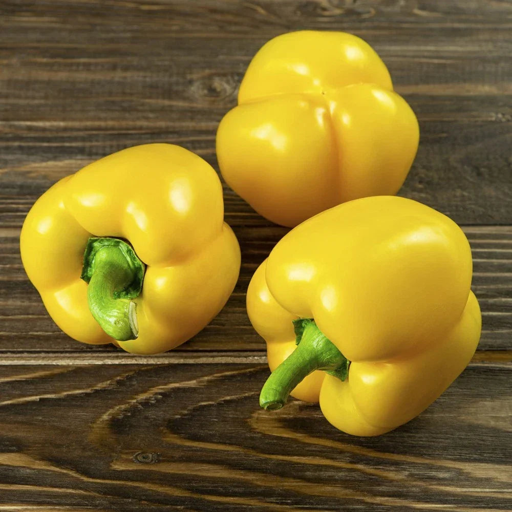 Mini Yellow Bell Pepper Seeds - Organic Non-GMO, Capsicum annuum, 50+ Seeds for Home Garden & Container Planting