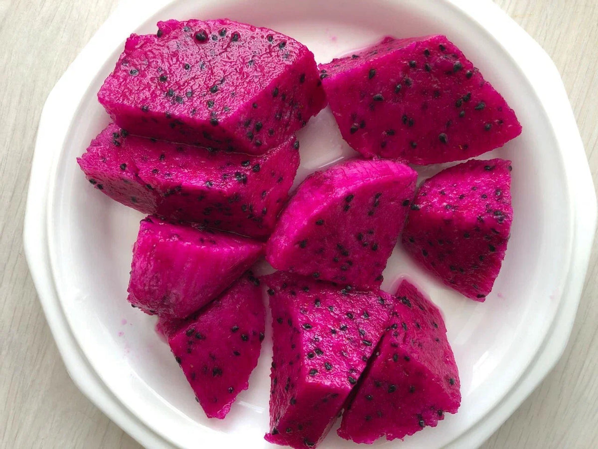 Red Dragon Fruit Cuttings 9-14" - Hylocereus undatus 'Condor' for Garden Propagation