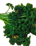 Forest Green Parsley Seeds – Non-GMO Culinary Herb Petroselinum crispum, 300+ Seeds for Indoor & Outdoor Gardening