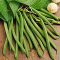 Bulk Green Bean Seeds, Non-GMO Heirloom Vegetable Seeds, Phaseolus vulgaris, Bush Type, 100 Seeds
