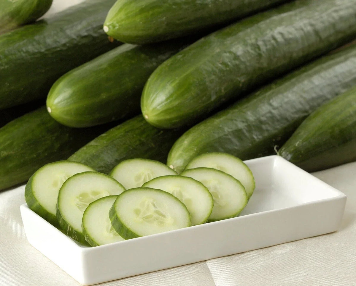 Heirloom Cucumber Seeds - Organic Non-GMO Ashley Long Cucumis sativus for Home Garden, Salad, Pickling, Pack of 10+