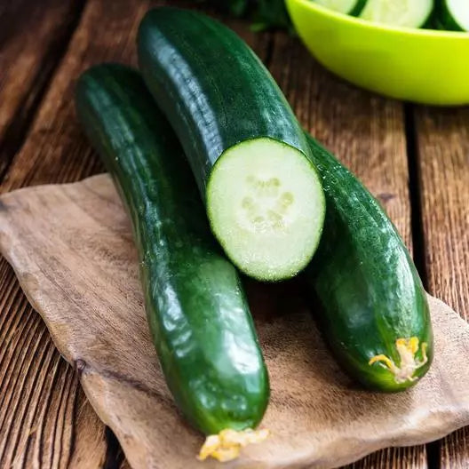 Tendergreen Burpless Cucumber Seeds - Non-GMO Heirloom Cucumis sativus, Vining, Crisp, Easy to Grow, 35 Seeds