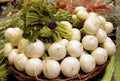 Radish Seeds - Hailstone Variety - 100 Seeds - Raphanus sativus - Fast-Growing, Crisp Roots for Salad & Container Gardening