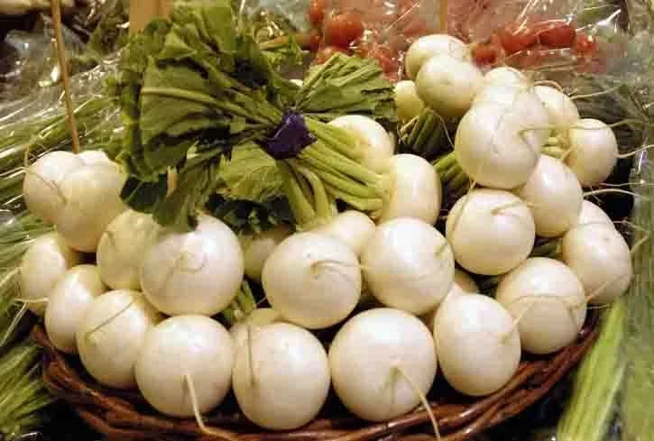 Radish Seeds - Hailstone Variety - 100 Seeds - Raphanus sativus - Fast-Growing, Crisp Roots for Salad & Container Gardening