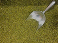 Mung Bean Seeds for Sprouting & Gardening, Vigna radiata, 250+ Non-GMO Edible Plant Seeds