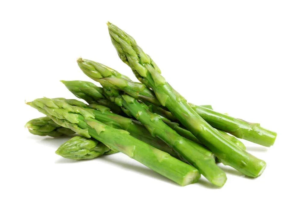 Green Asparagus Seeds | 150+ Non-GMO Vegetable Seeds for Planting | Asparagus officinalis