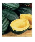 Table Queen Acorn Squash Seeds – Heirloom Bush Variety for Small Gardens, Cucurbita pepo, 10-40 Seeds