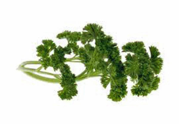 Moss Curled Parsley Seeds - Heirloom, Non-GMO, Petroselinum crispum, 25+ Seeds for Fresh Culinary Herbs