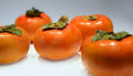 Live Fuyu Persimmon Tree Sapling - Diospyros Kaki Fruit Tree - Hardy Deciduous Fruit Tree for Garden or Pot