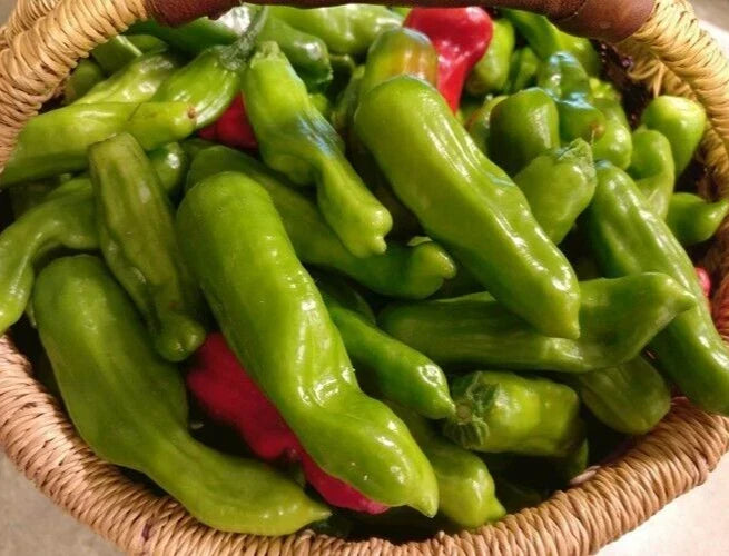 Italian Pepperoncini Seeds - 25 Premium Capsicum annuum for Home Garden, Mild Tangy Peppers, Fresh, Easy to Grow