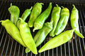 Anaheim Chili Pepper Seeds - Capsicum annuum for Stuffed Peppers & Grilling - Mild Heat, High Yield, Home Garden