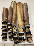 Rare Purple Sugarcane Cuttings - Heirloom Saccharum officinarum - Freshly Cut, Ready to Plant, Tropical Garden, Florida Grown
