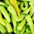 Hungarian Hot Wax Pepper Seeds – Non-GMO Heirloom Capsicum annuum, Spicy Vegetable Seeds for Salsas, Sauces, and Home Gardens